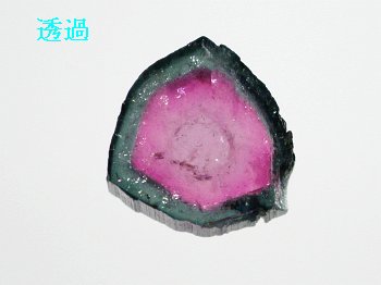 EH[^[g}8.2ct