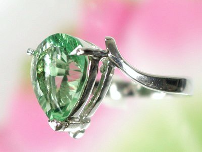 ��Ύ��t���[���C�g�����O11��(1)