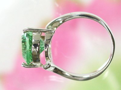 ��Ύ��t���[���C�g�����O11��(1)