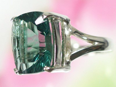 ��Ύ��t���[���C�g�����O10��(5)