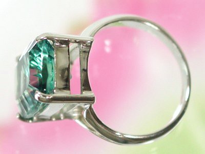 ��Ύ��t���[���C�g�����O10��(5)